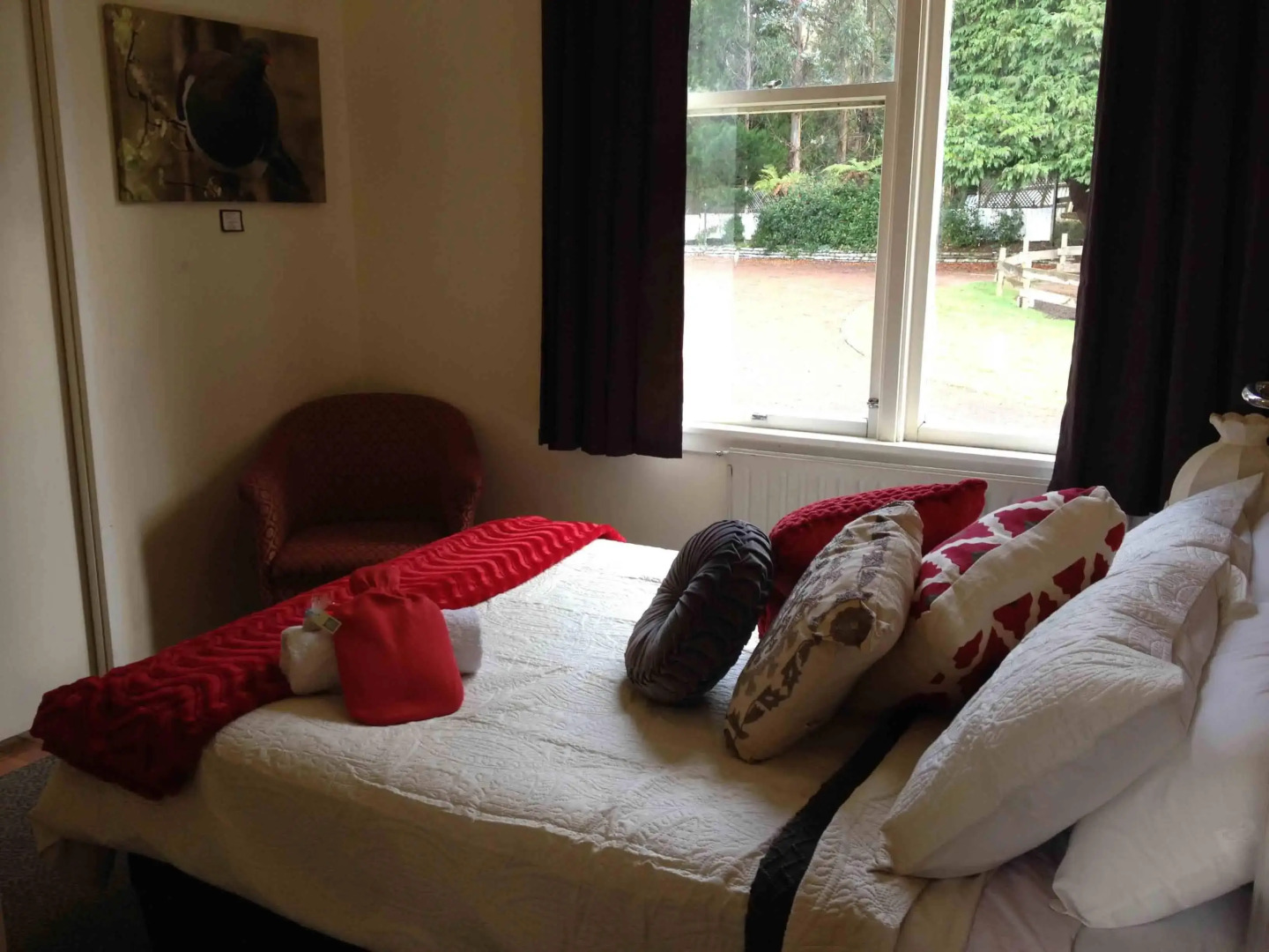 Snowy Waters Lodge & Tours