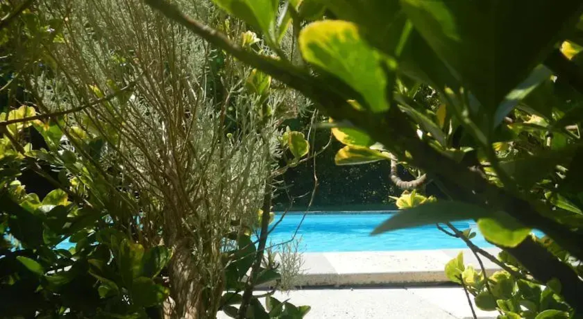 Chambres dHôtes "La Châtaigneraie"