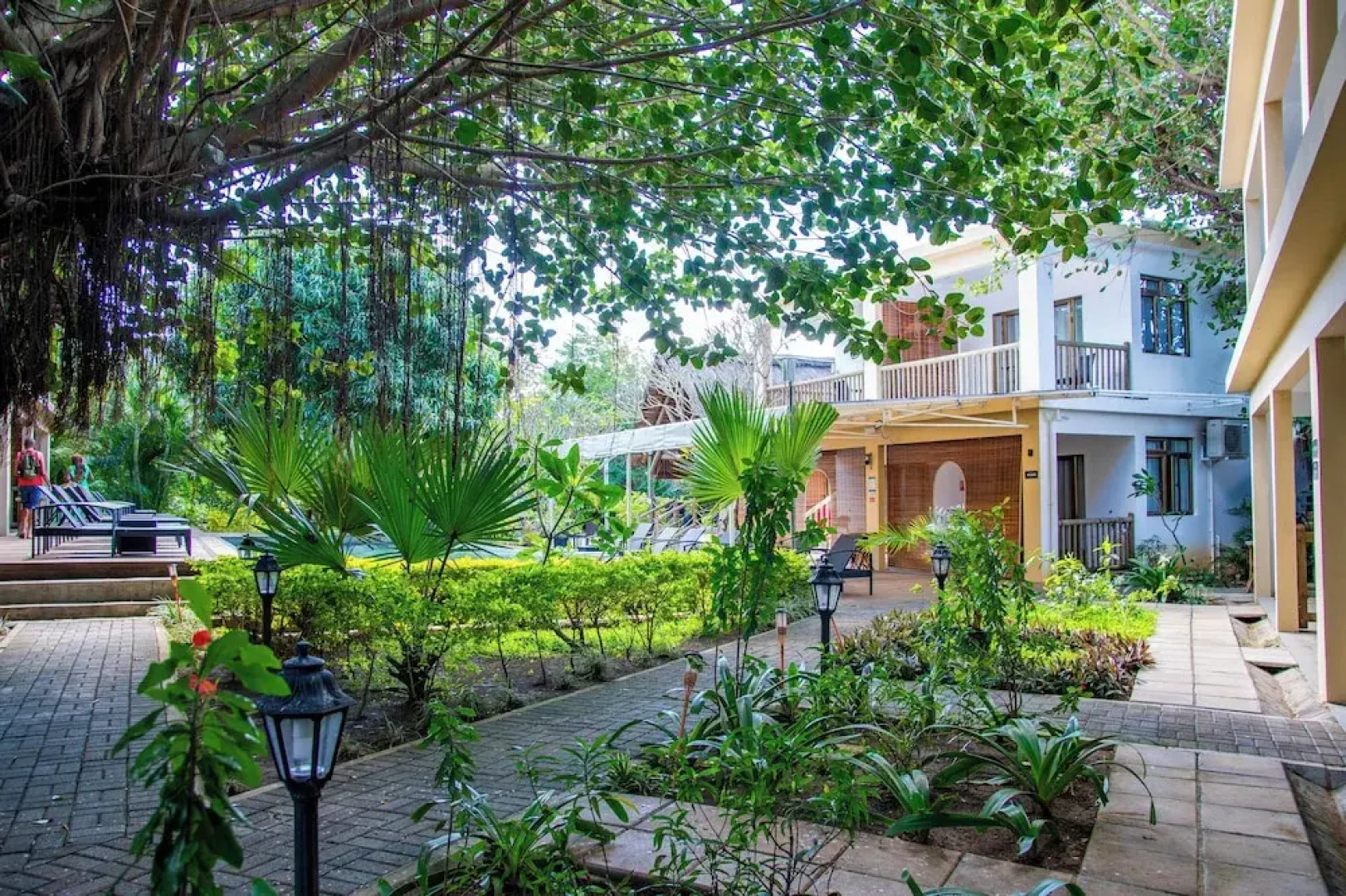 The Garden Lodge Pereybere - Piscine