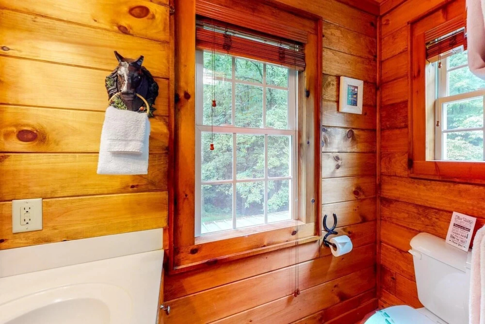 Cowboy Cabin on Stanley Creek