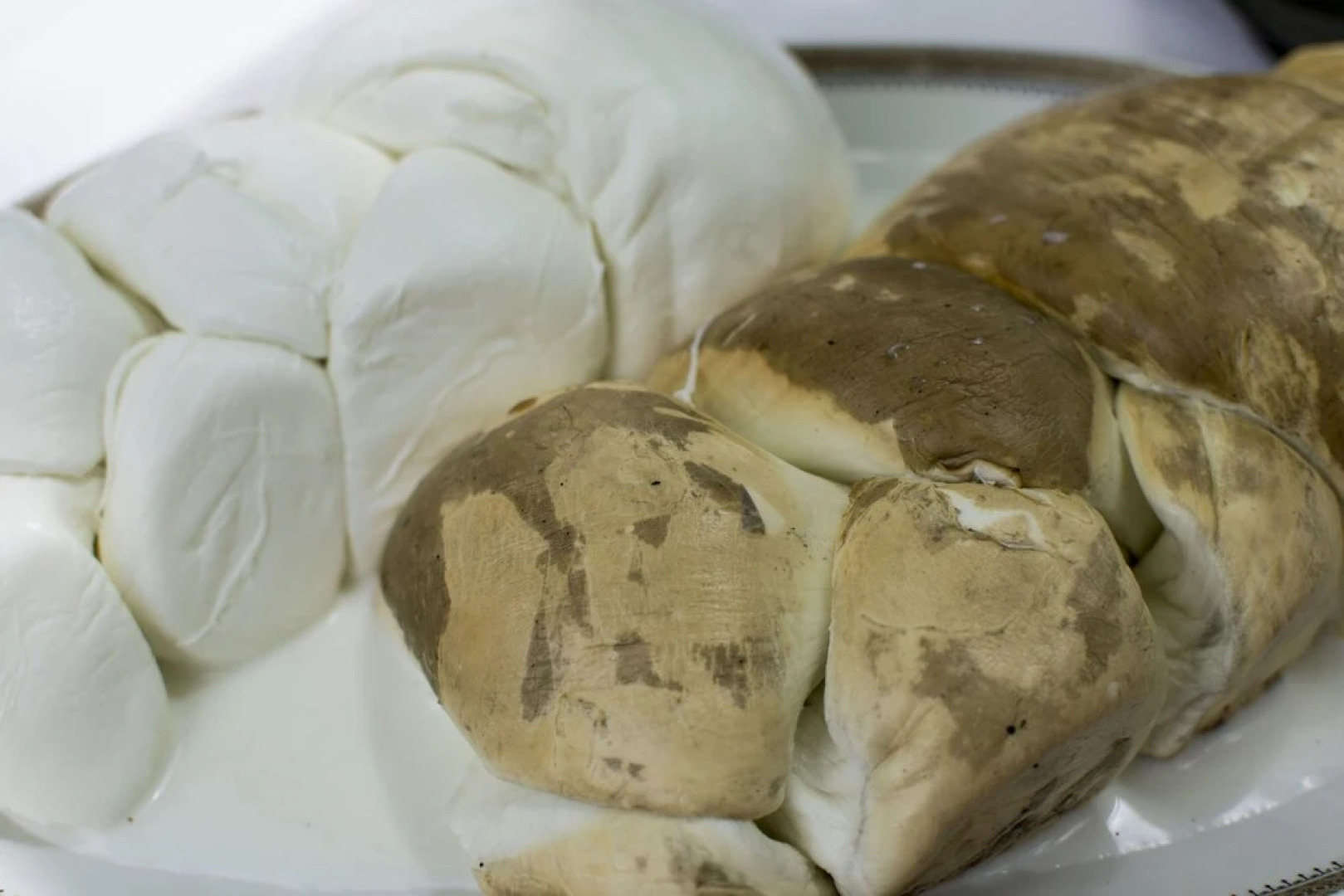 Home for Creativity-Coliving Puglia