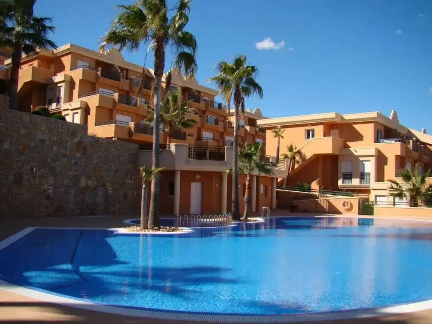 Jacaranda in Pedreguer