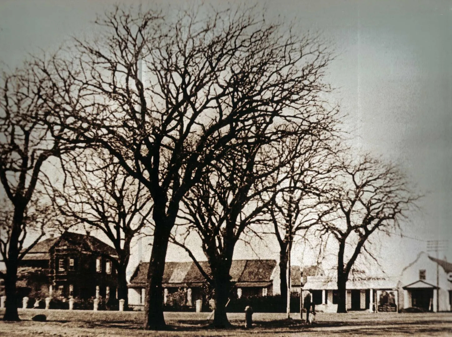 Premier Express Inn George