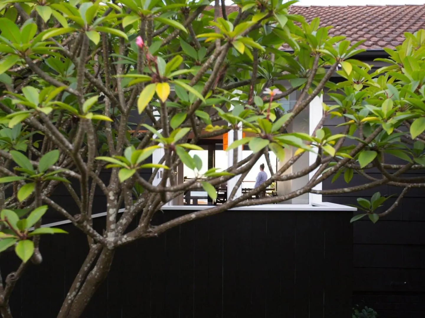 THE WERRI SHACK Werri Beach Gerringong 4pm check out Sundays