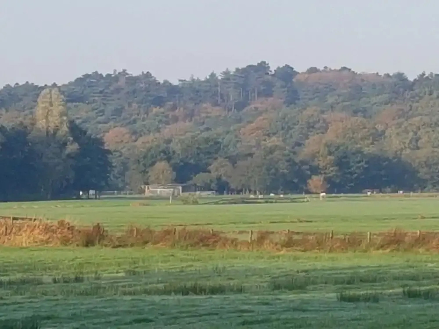 Holiday Home Ecolodge The Pearl