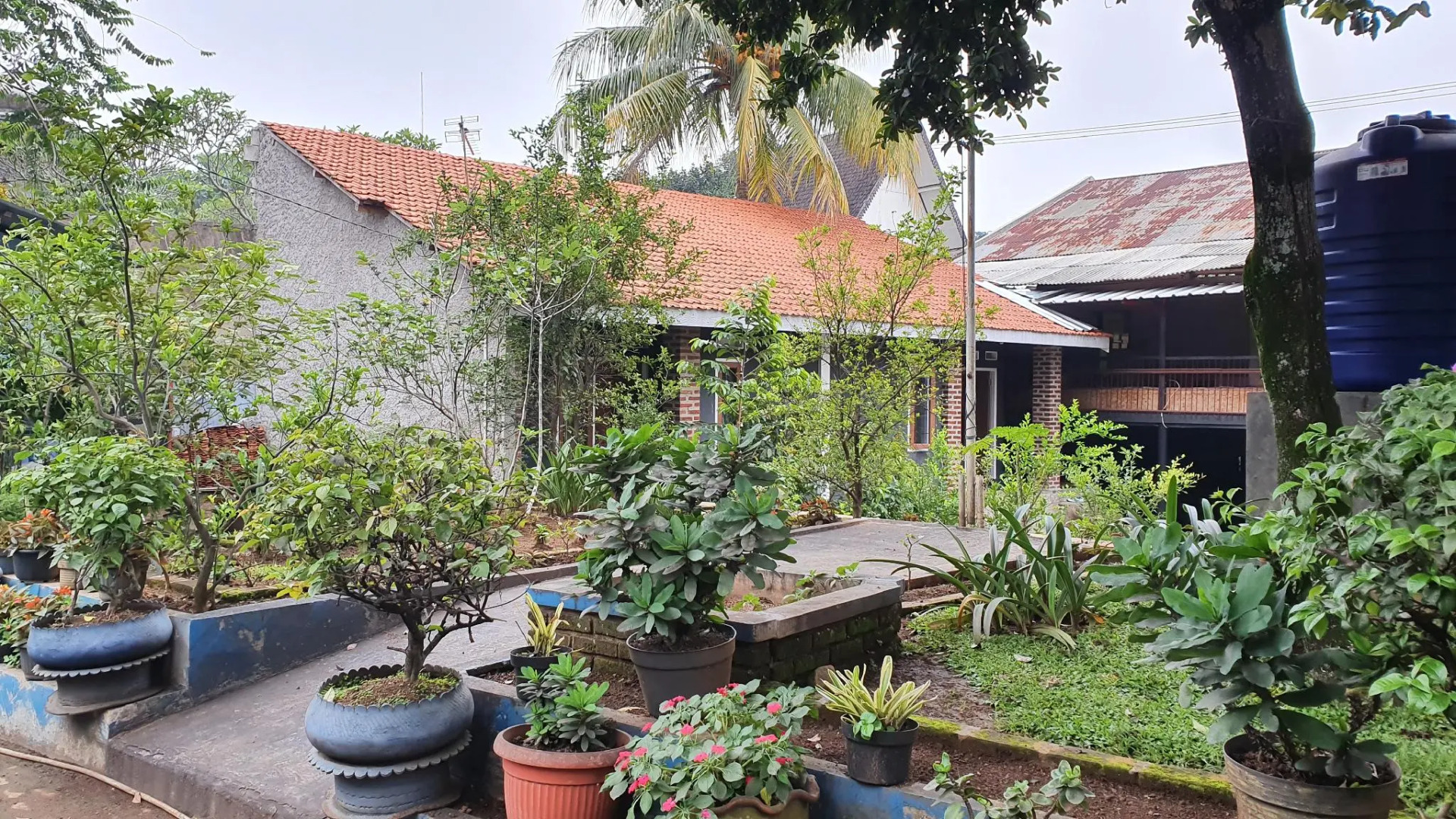 OYO 2302 Blue House Costel Syariah