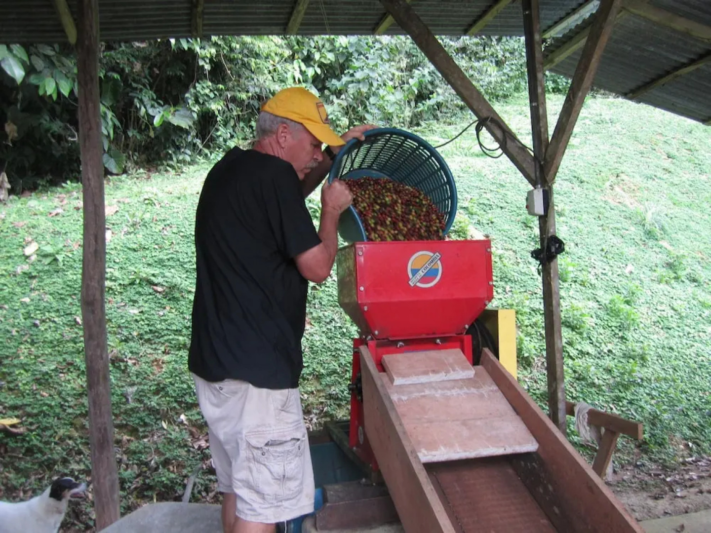 Rio Magnolia Nature Lodge