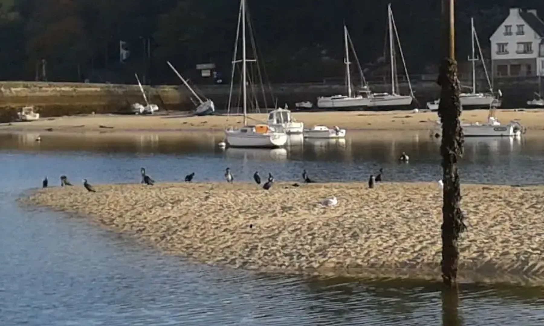 Audierne Yachting - Yacht Time Out