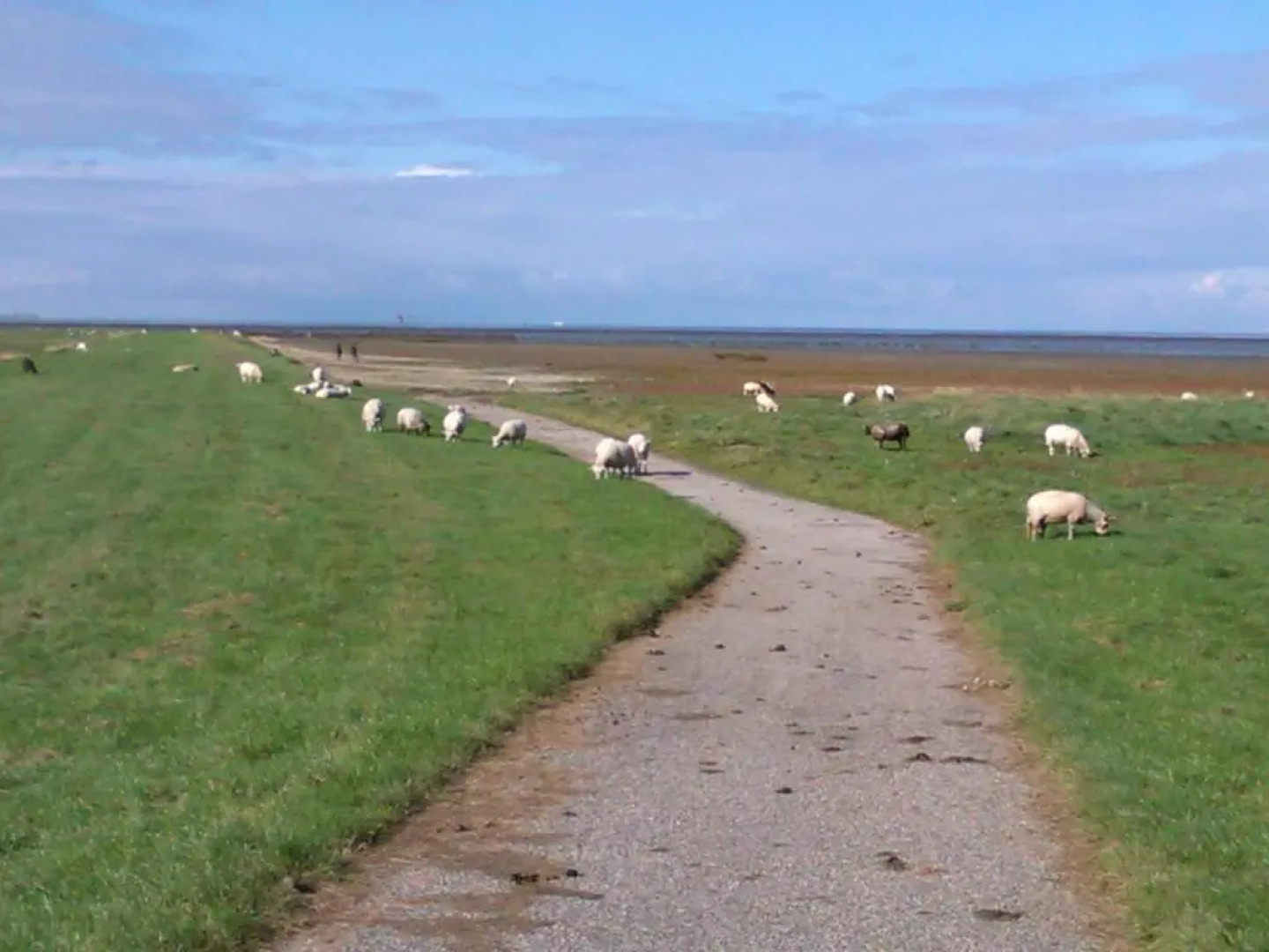 Bed & Breakfast Meinsma