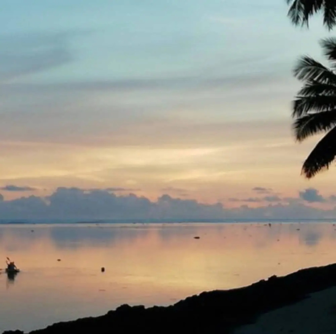 De Vos The Private Residence