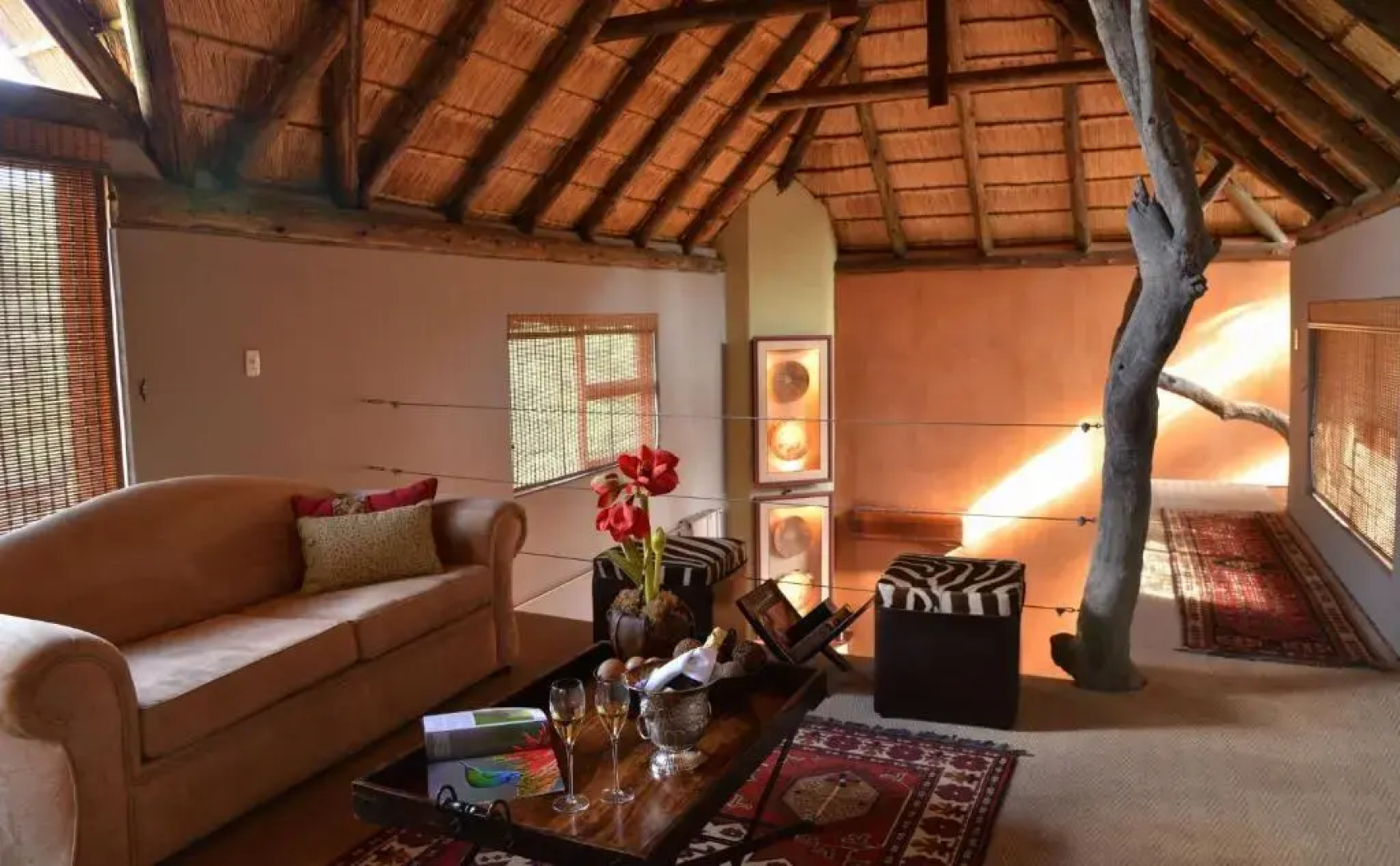 Wild & Free Game Lodge