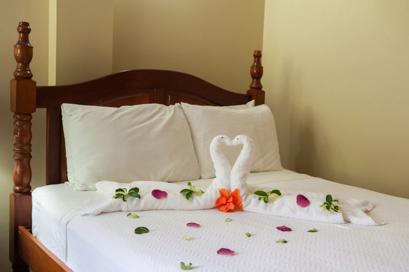 Black Orchid Resort
