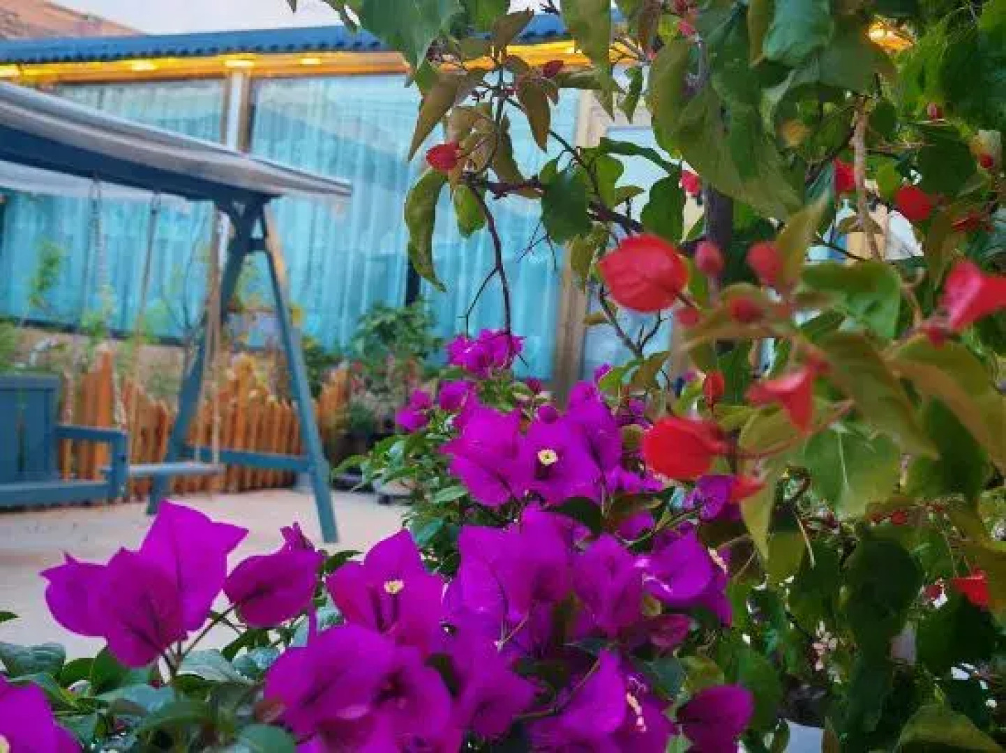 Turks Yan Geer Homestay