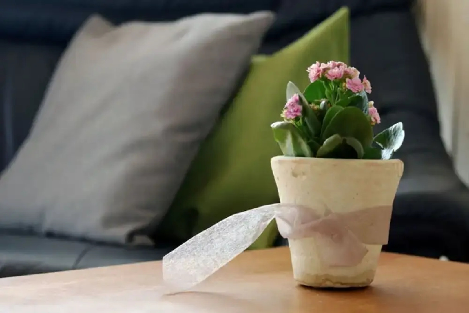 Holiday Apartment Lohr-drewes 2