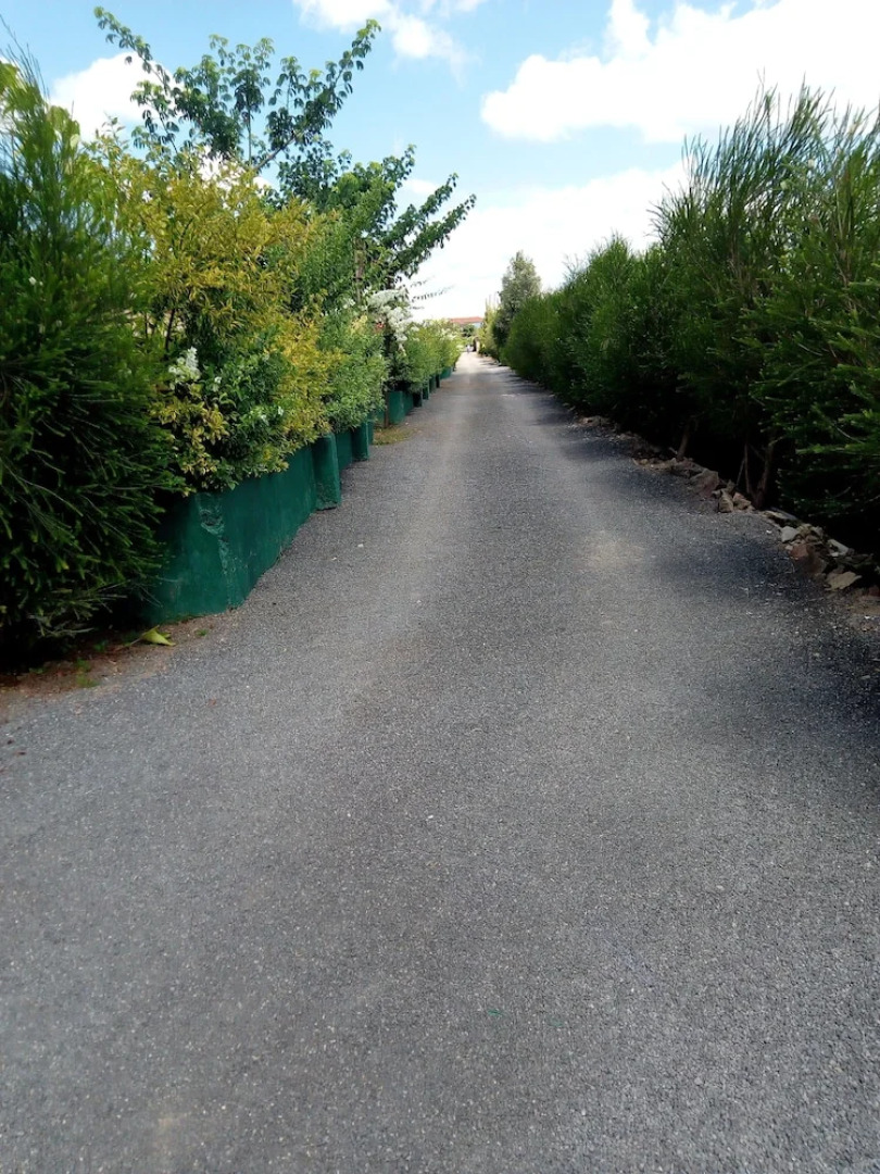 Savannah Lodge Nguluni