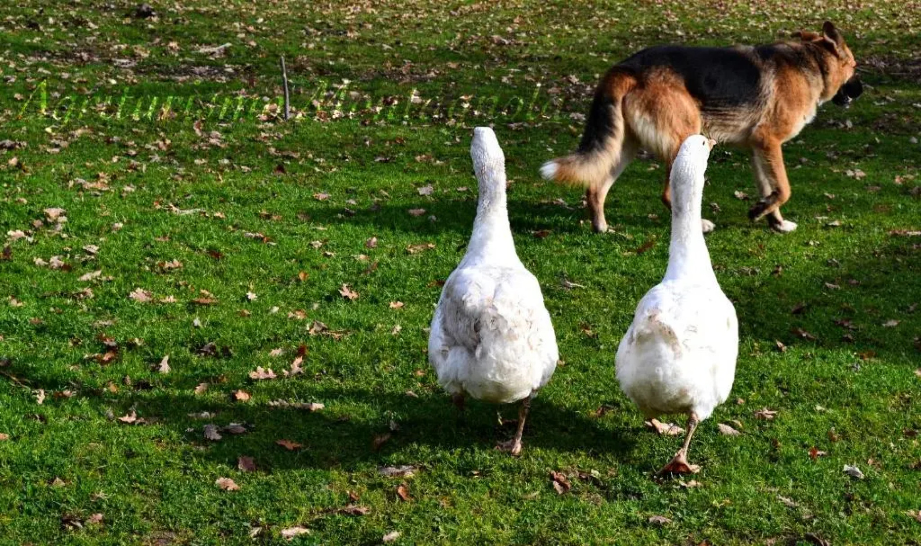 Agriturismo Montagnola Abruzzo