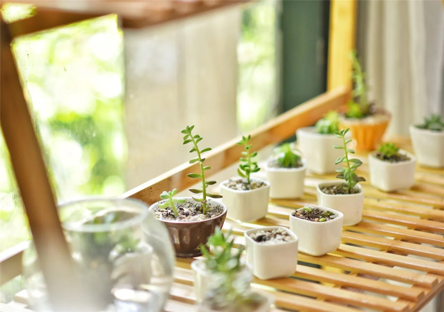 Guilin La Flowers Hostel