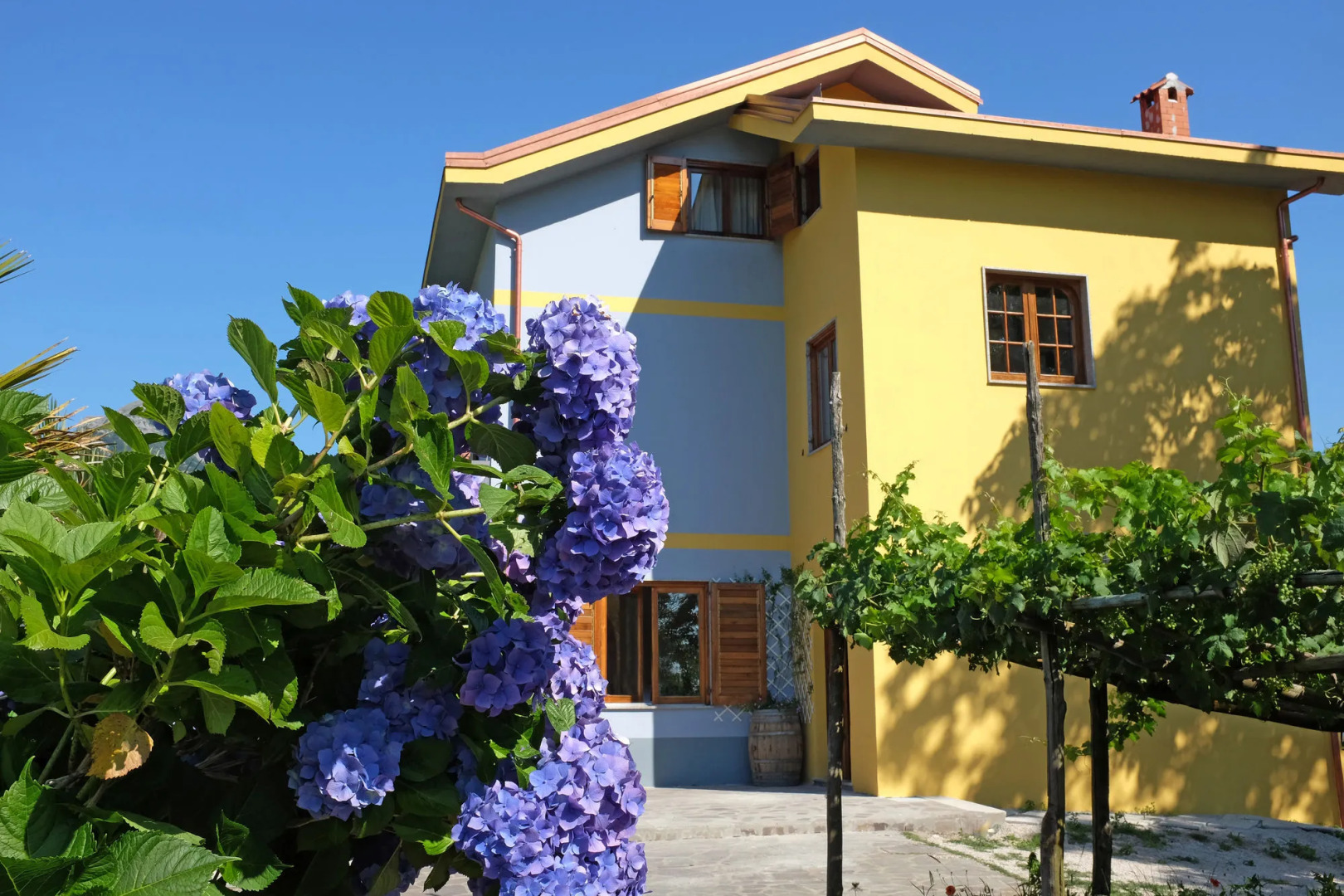 Villa Elisa