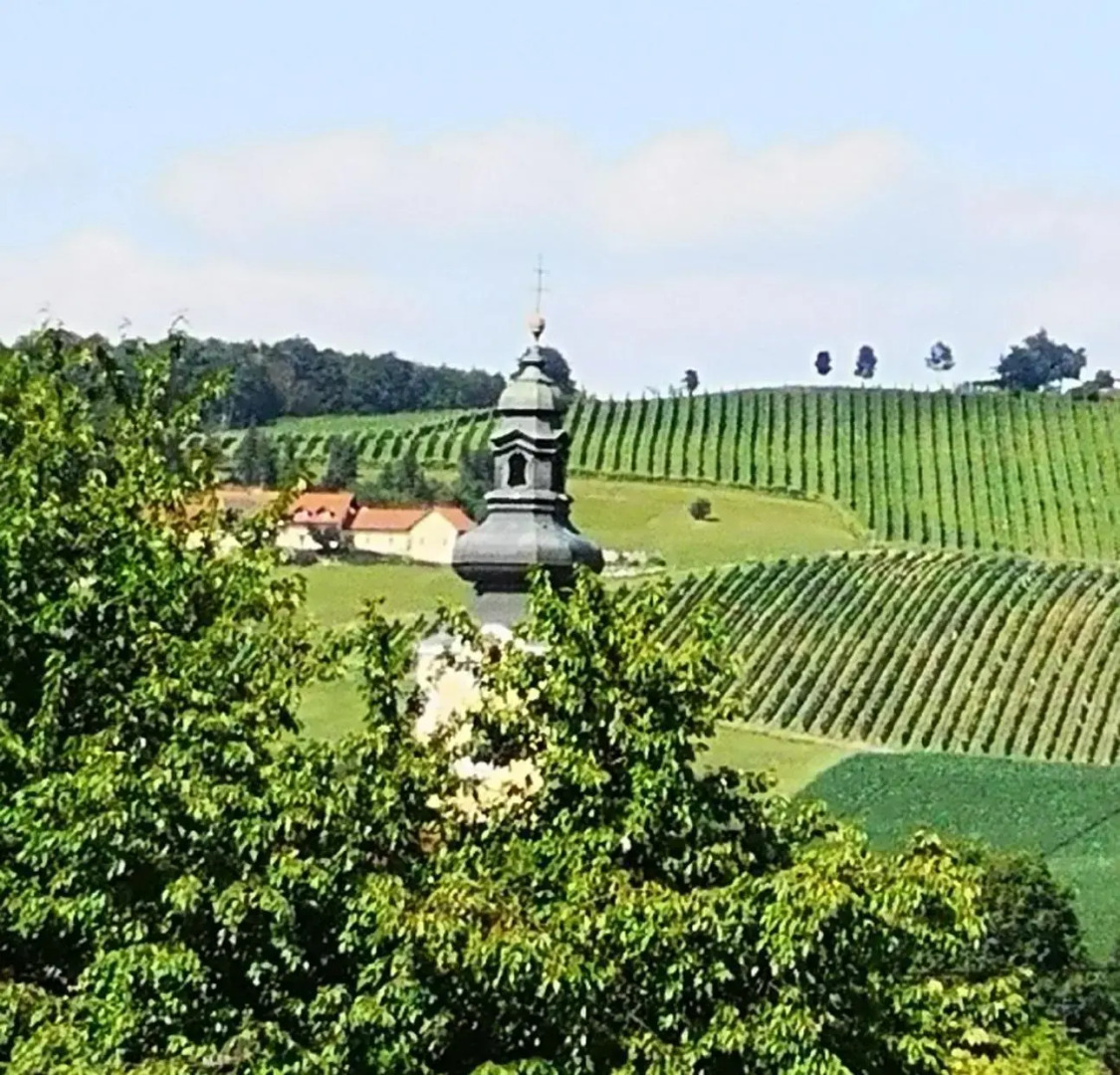 Goldener Hahn Apartments