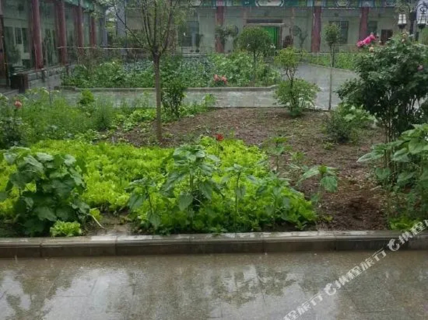 Xinyue Ecological Park