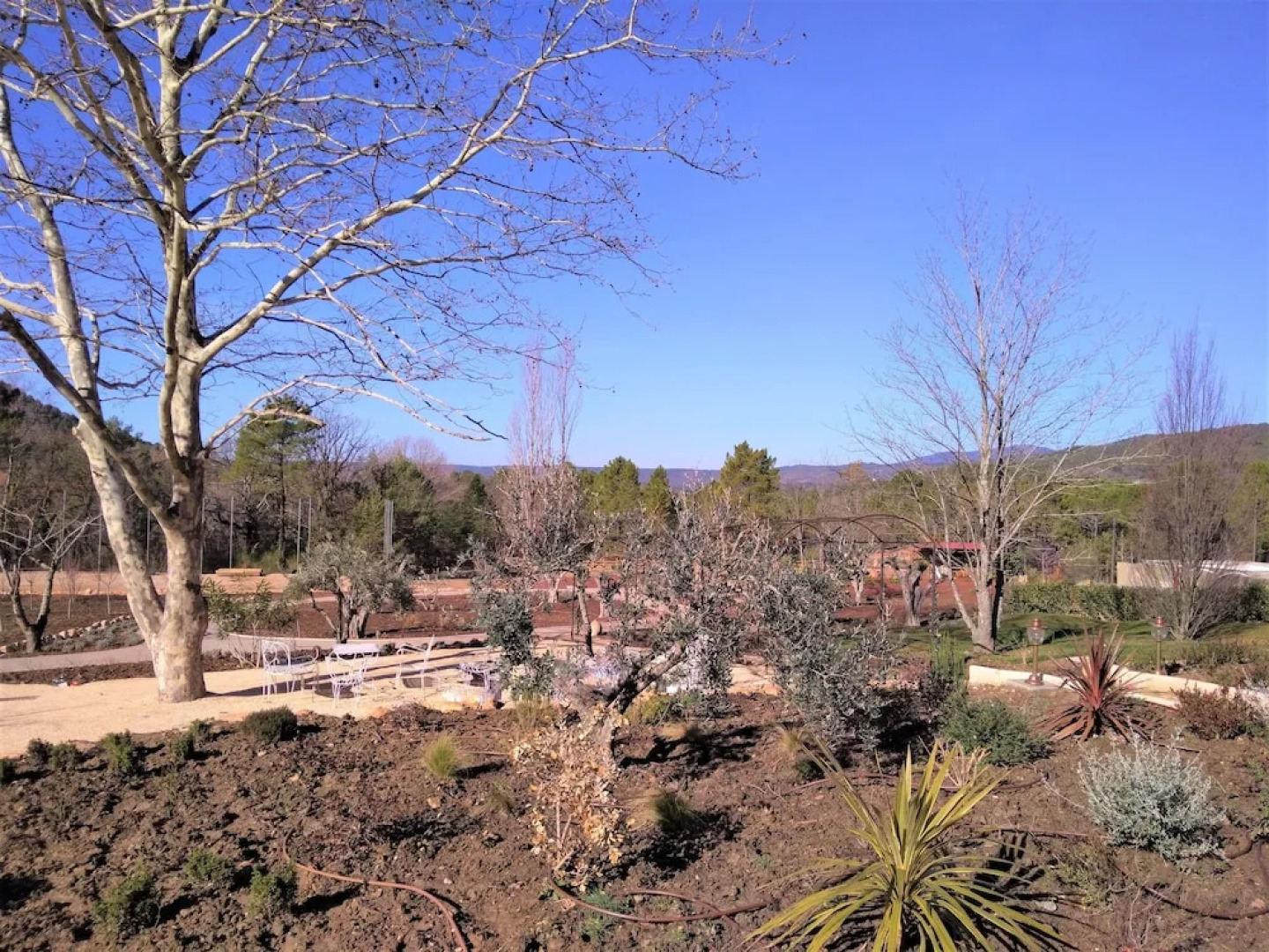 Domaine Les Sanguinedes