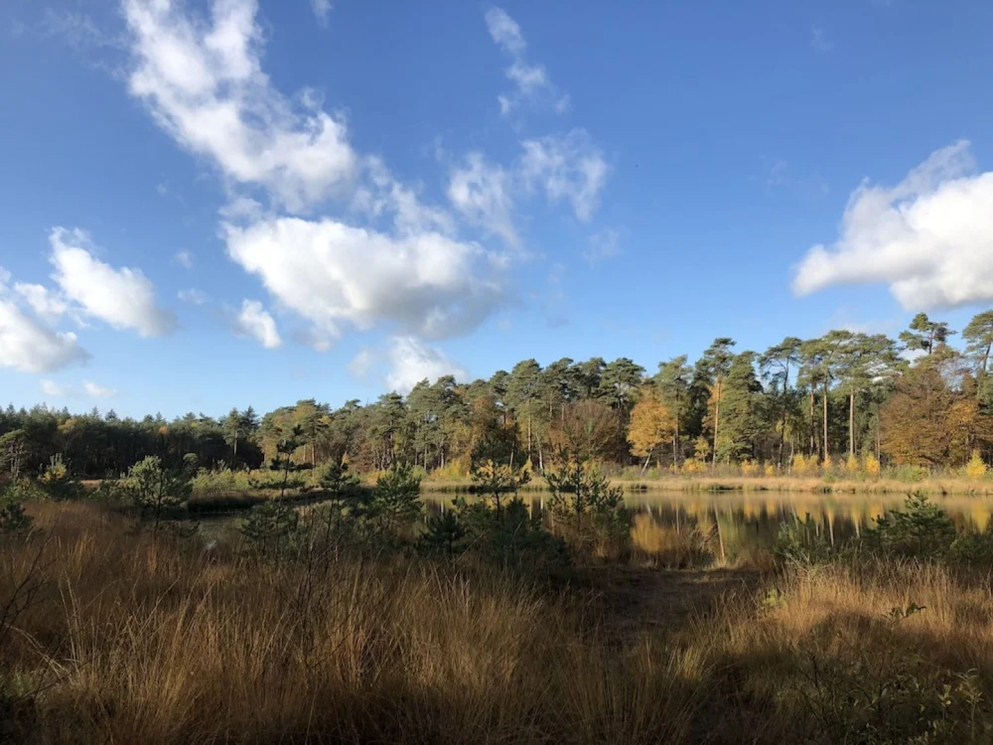 Attractive Holiday Home in Blokzijl Overijssel With Garden