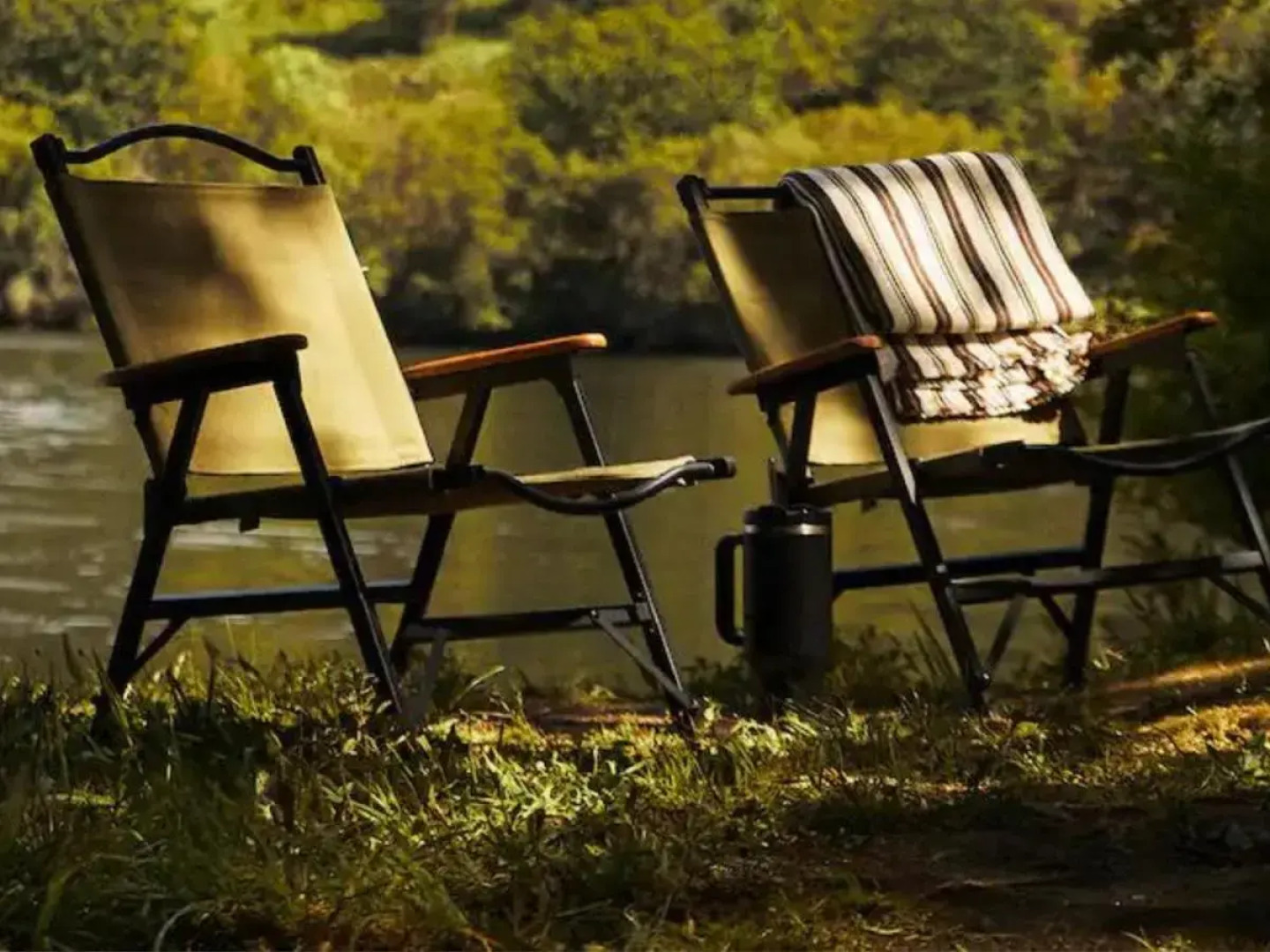 The Forest at Mount Congreve Gardens