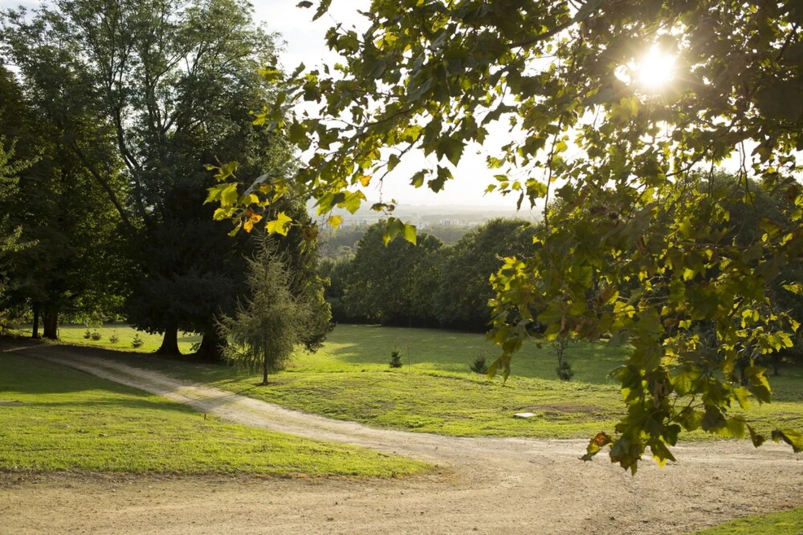 La Clairiere De La Reine Hortense