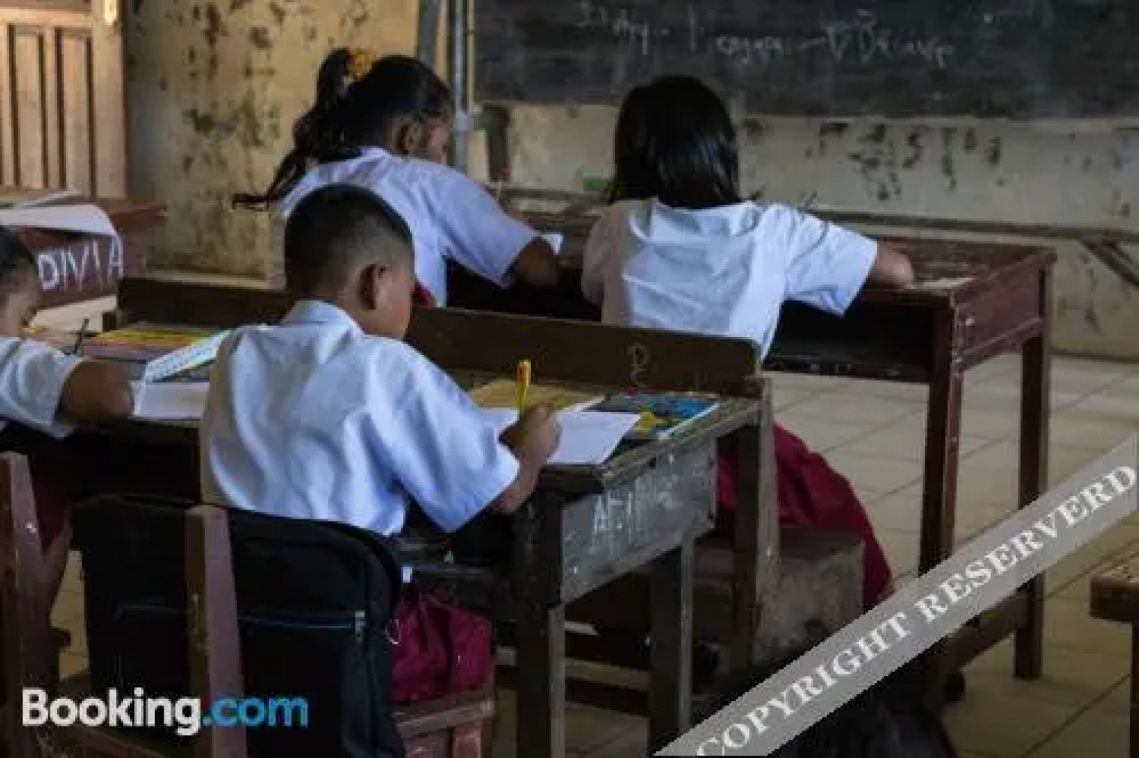 Rain Forest Guest House