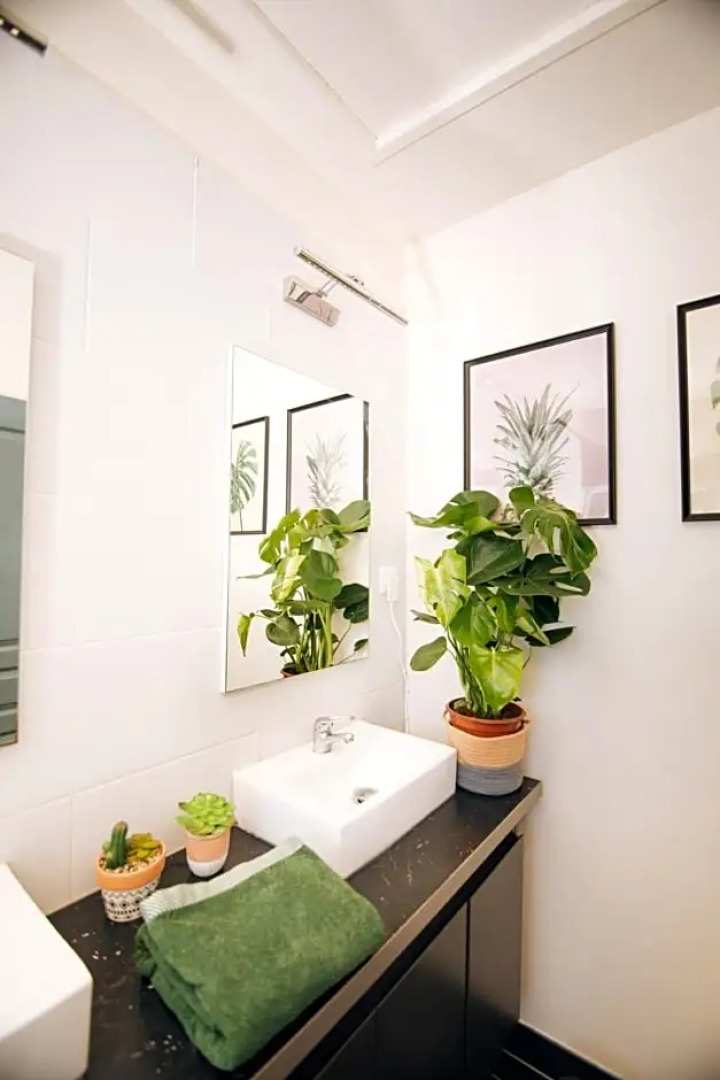 Alma Libre Yoga & Surf House