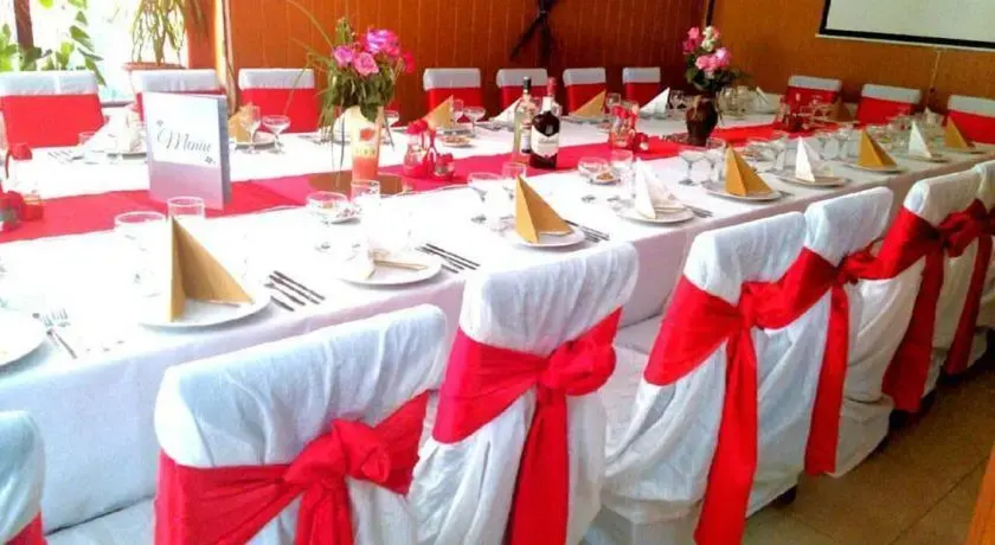 Pensiunea Europa Olanesti