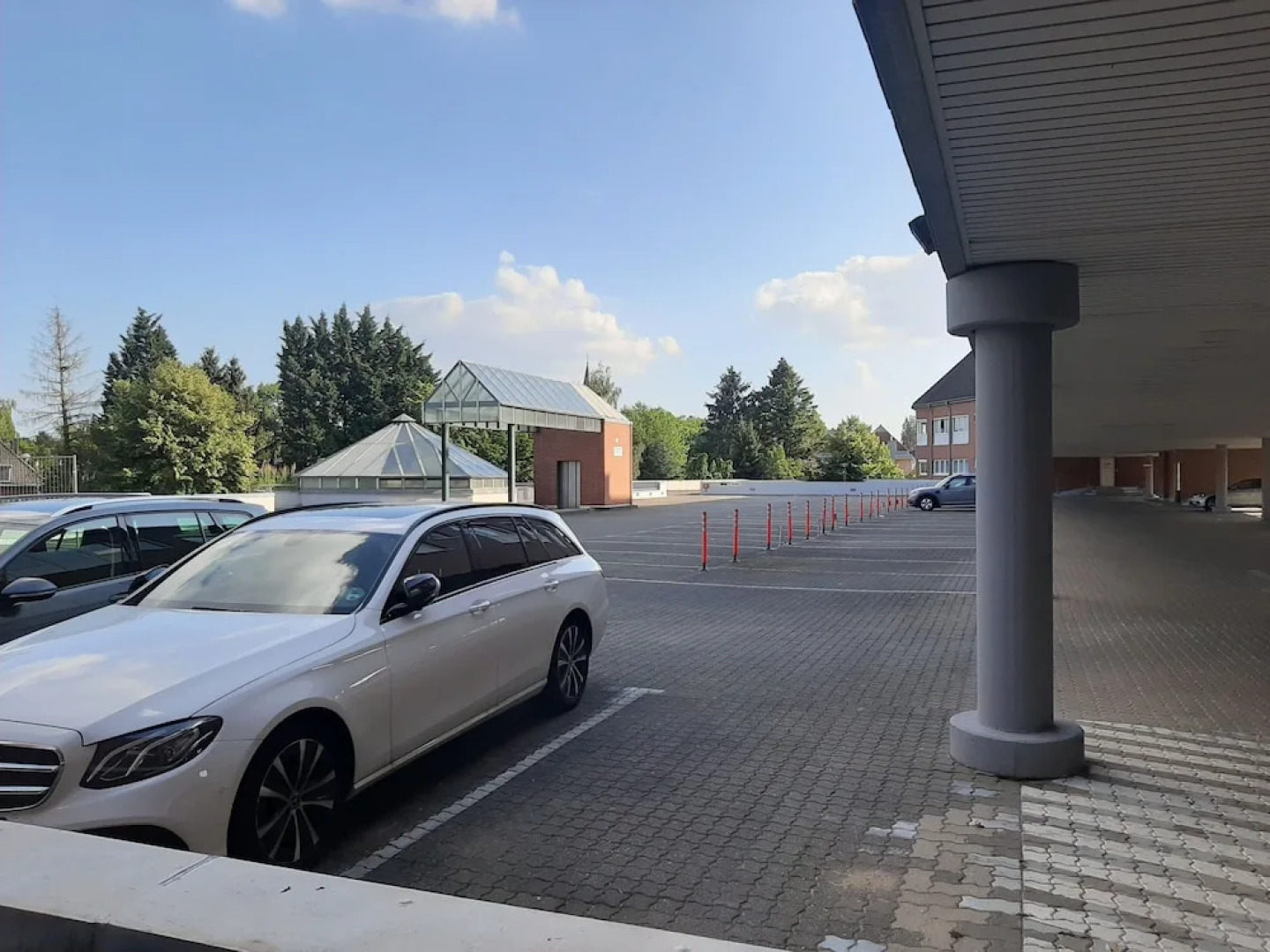 Siebenschläfer am Wasserturm