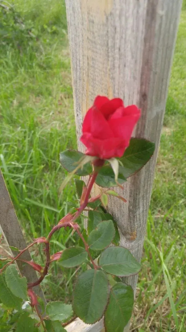 Windsbreath Celebrations and Retreats