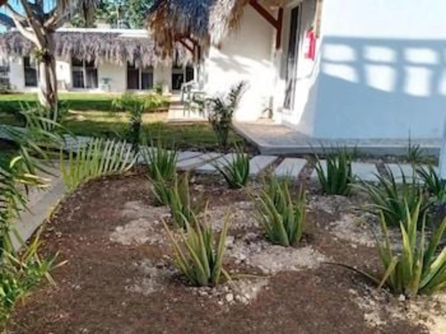 Green Village Bayahibe