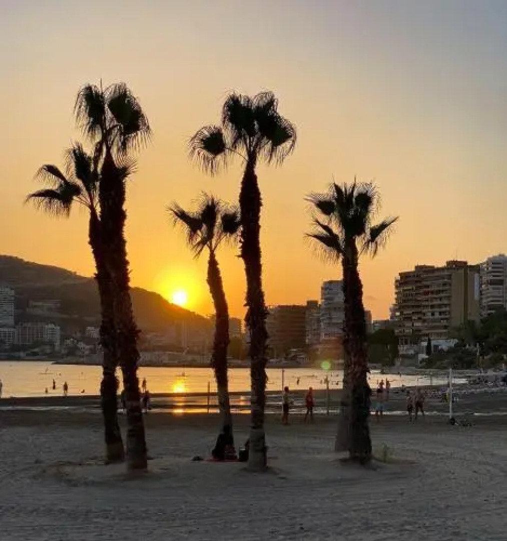 14 Bahia Playa Almadraba