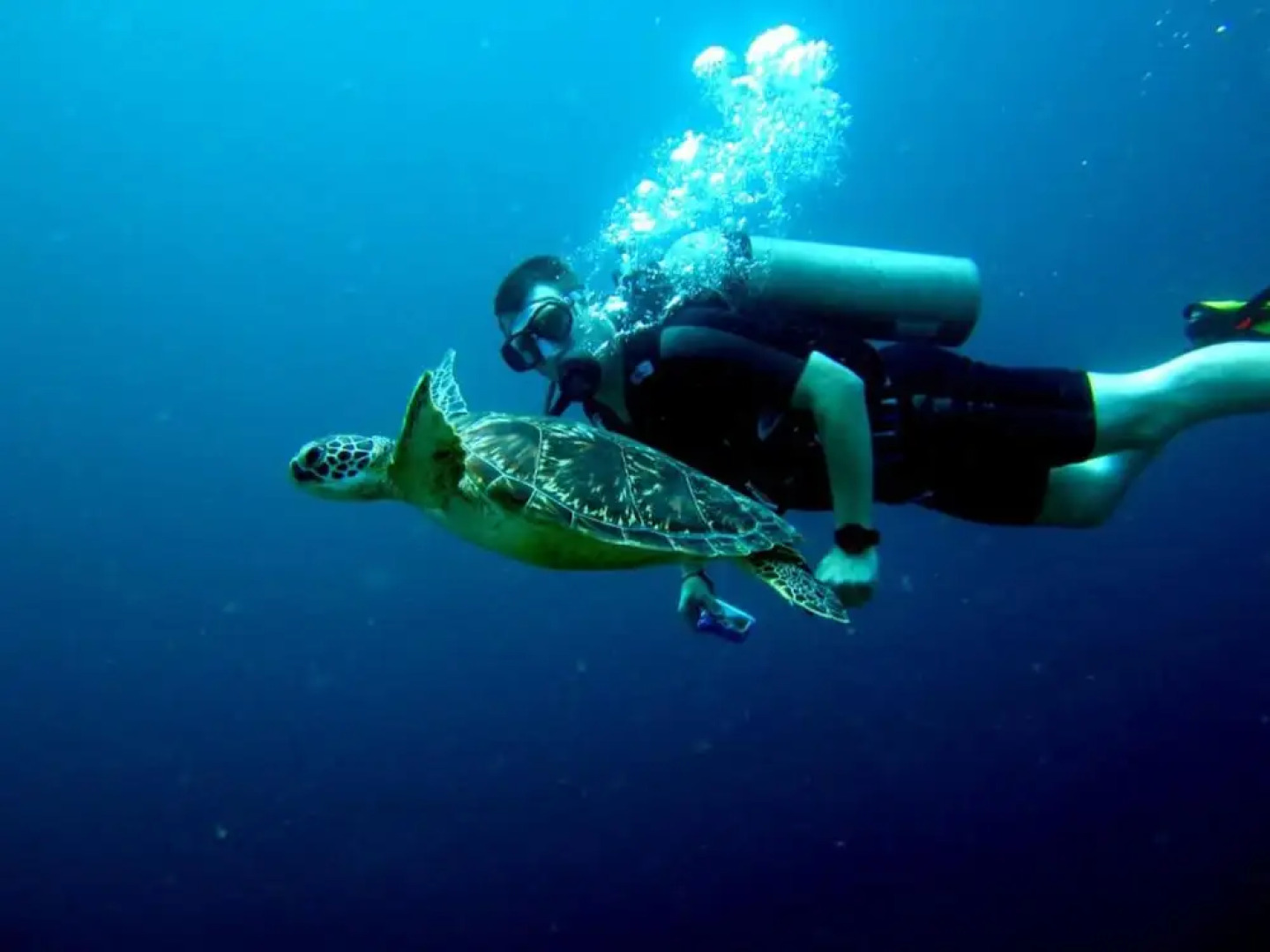 Made Taro Menjangan Homestay