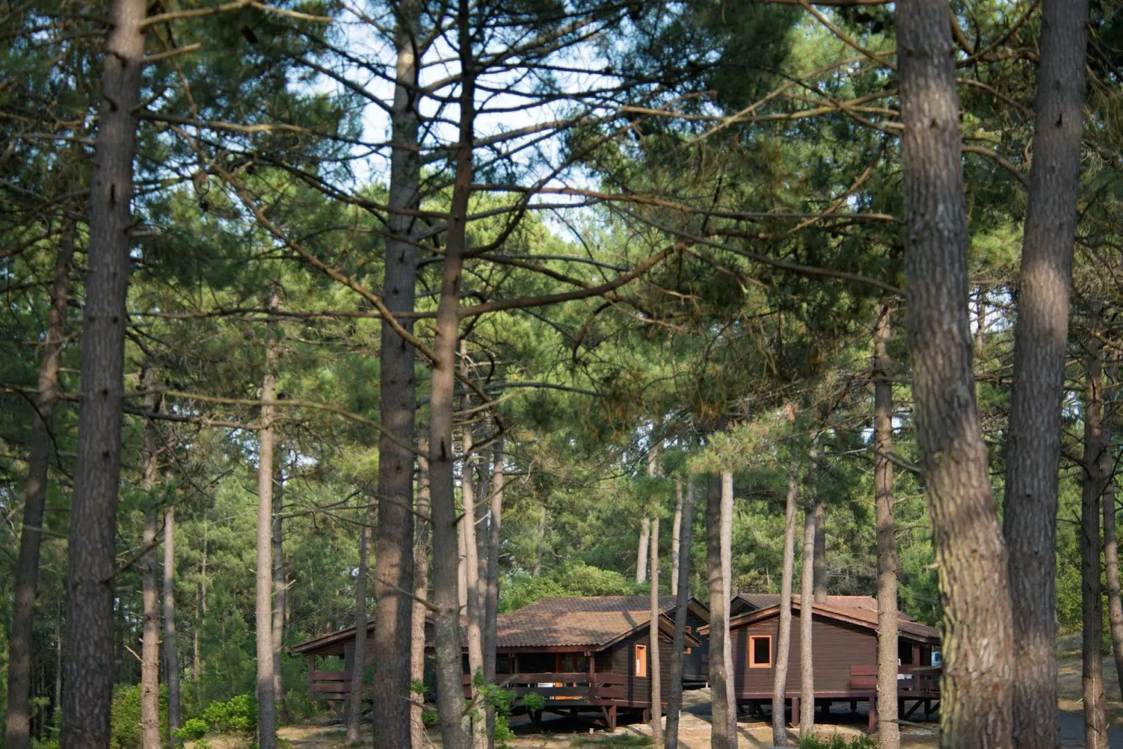 Club Belambra Les Sentes