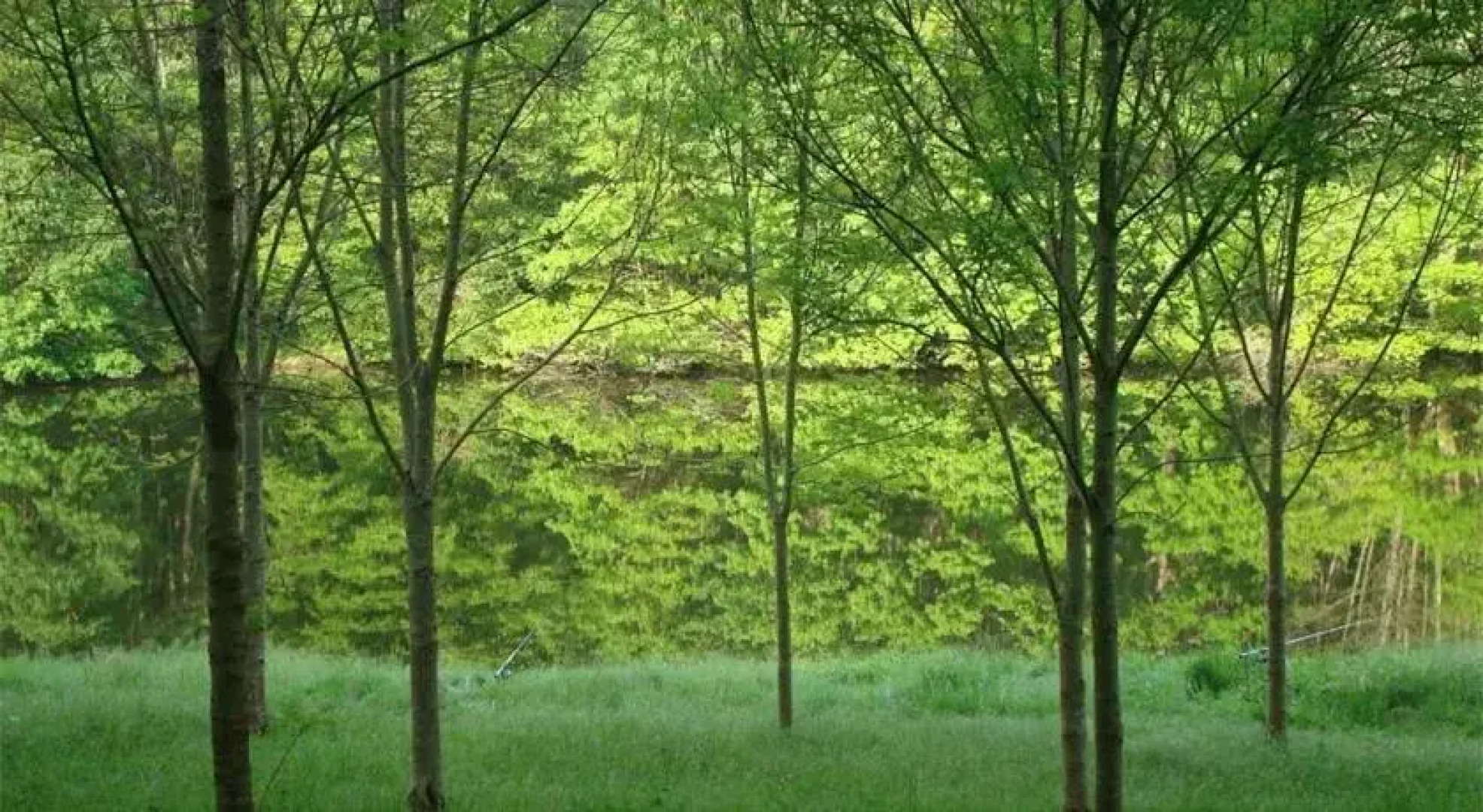 Domaine le Haut Verger