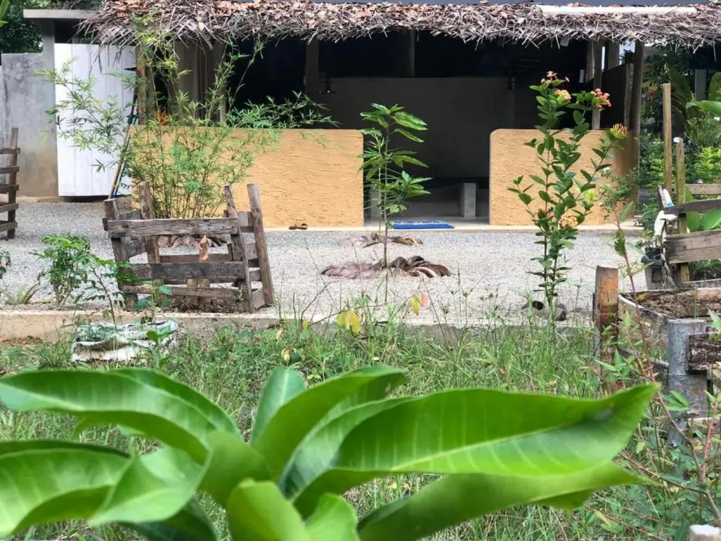 Unawatuna Backpacker Lodge