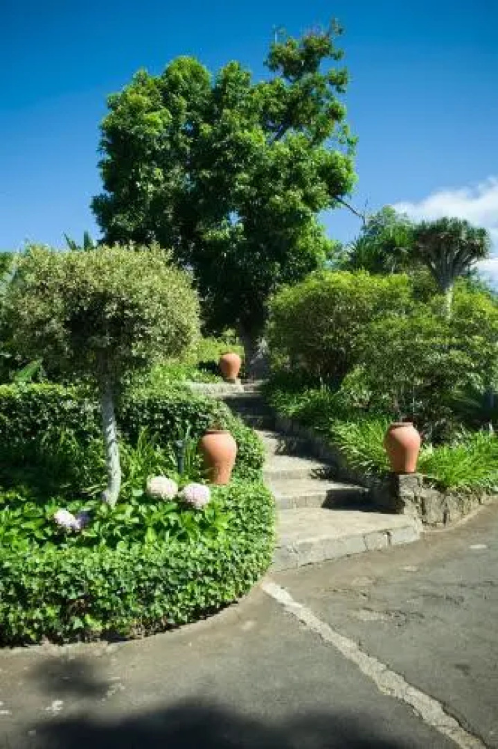 Villa Finca El Drago