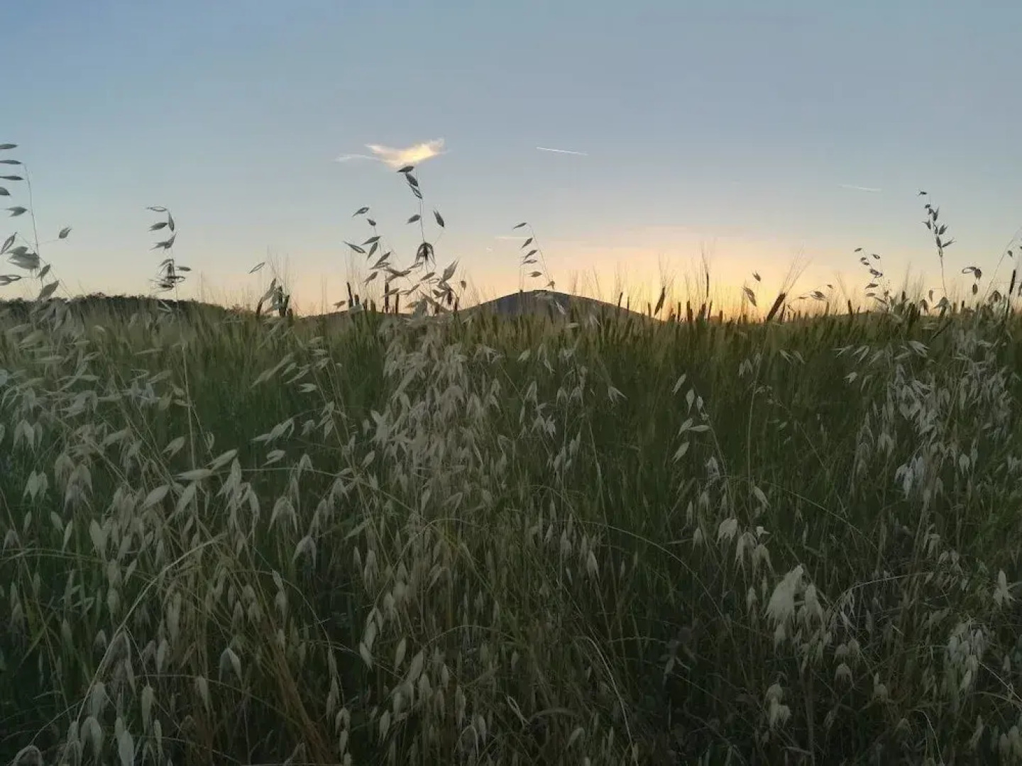 VILLA in TUSCAN MAREMMA. SEA&COUNTRYSIDE CAPALBIO Holiday home 8 BestStayz.1