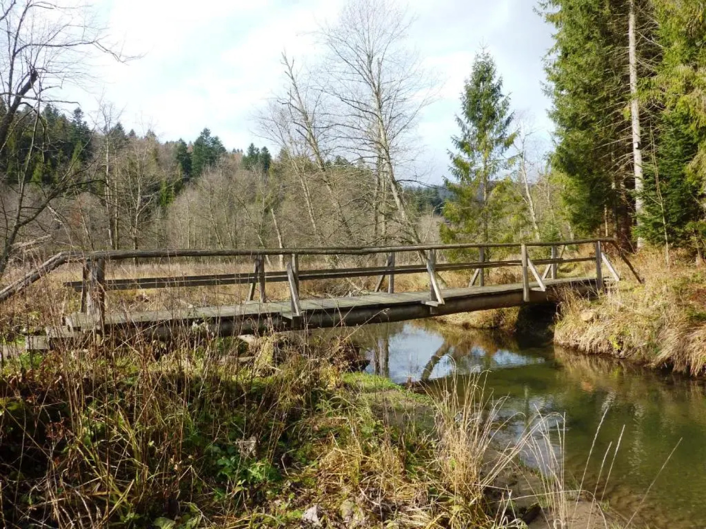 Centrum Promocji Leśnictwa w Mucznem