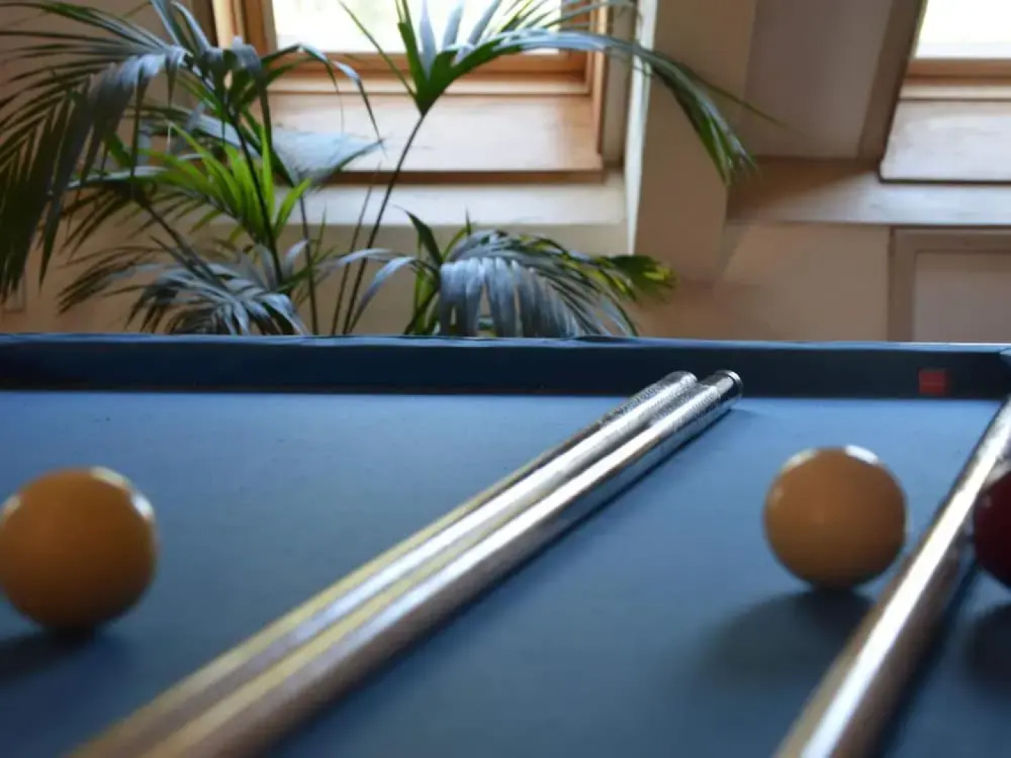 Authentic Farmhouse in Pingjum With Hot Tub