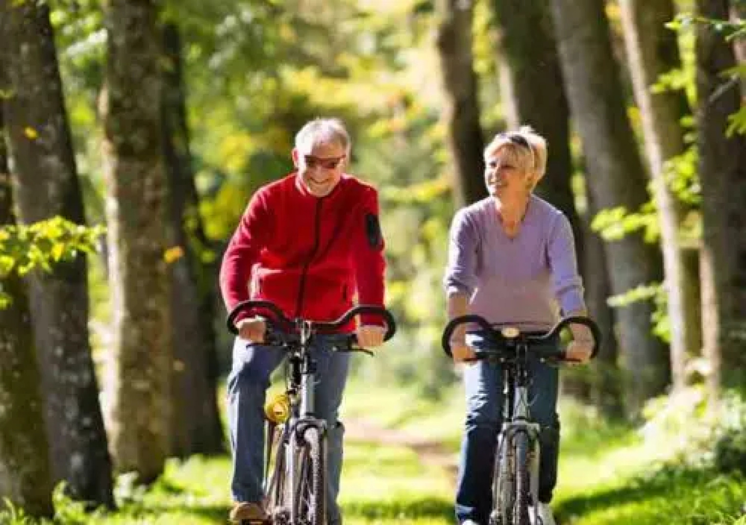 Groepshotel De Vrije Vogel