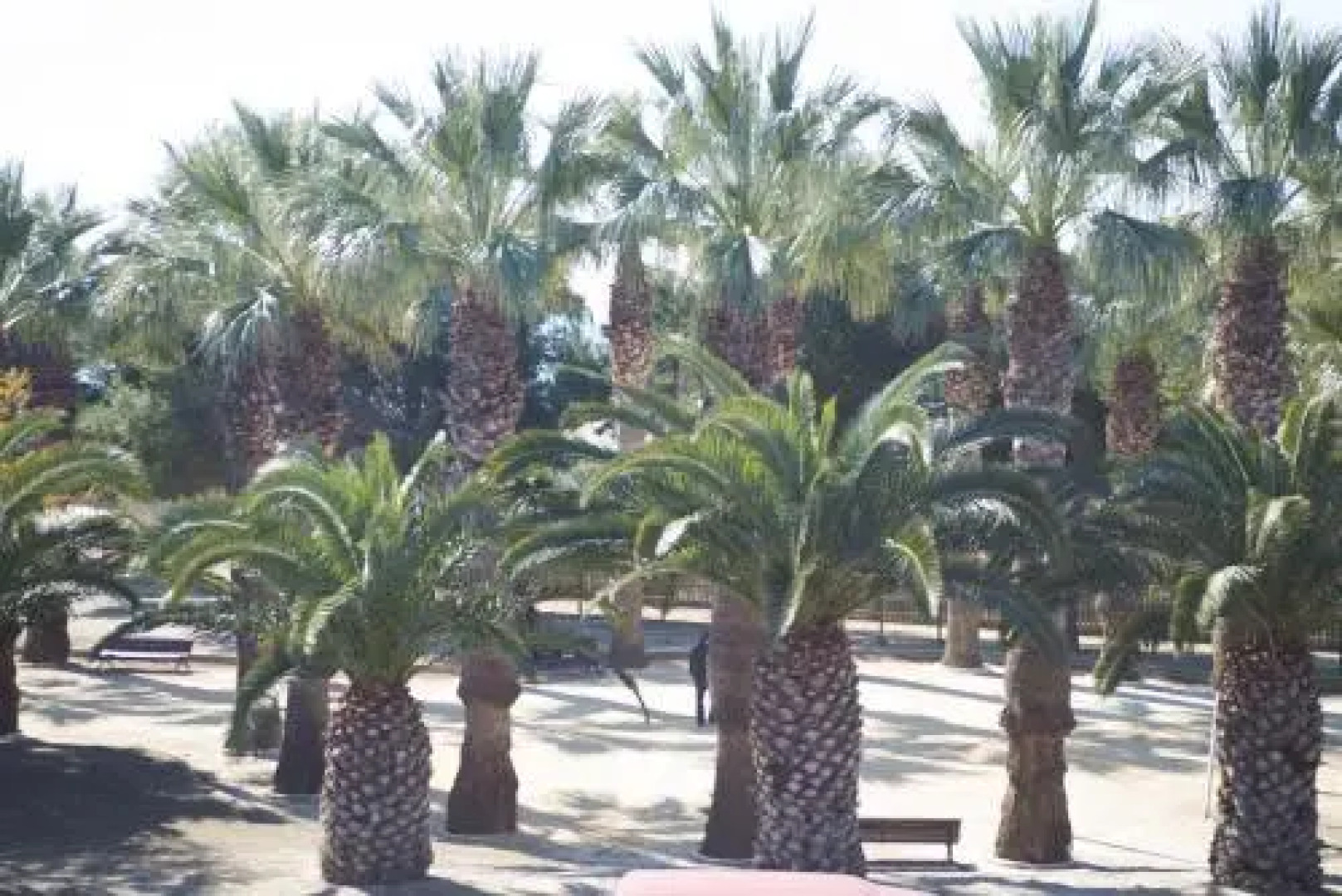 Appartment Kristal Mar II