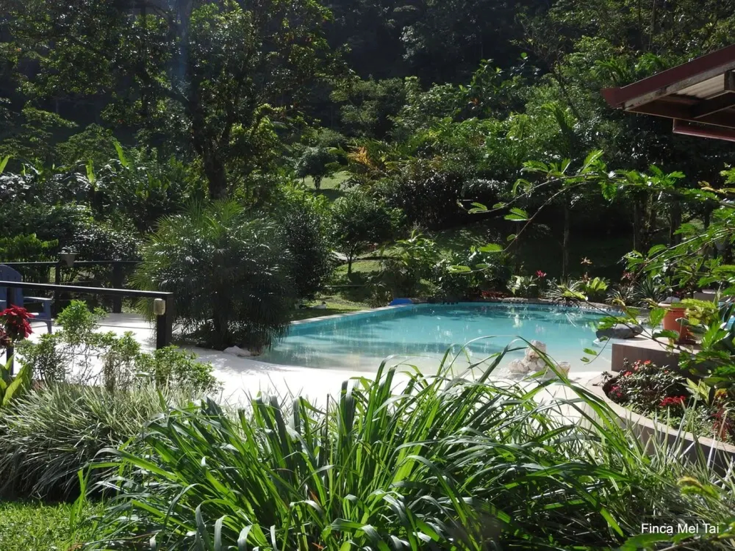 Mei Tai Cacao Lodge