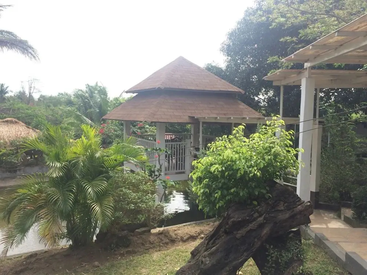 REX Habitat and Cultural Display Area