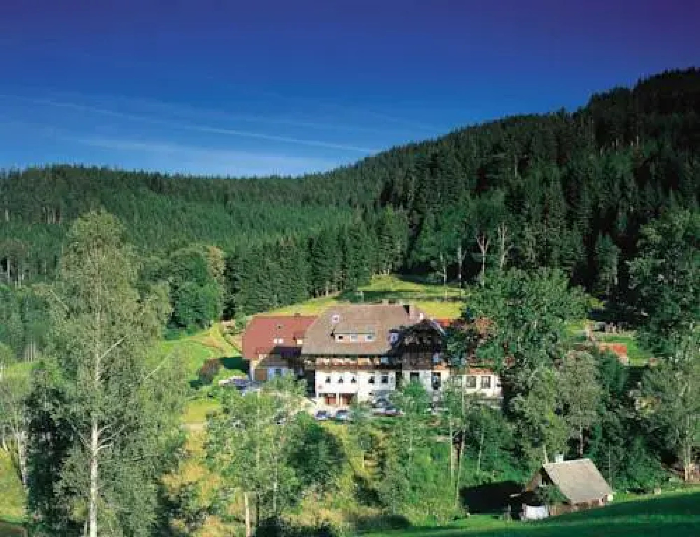 Waldhotel Fehrenbach