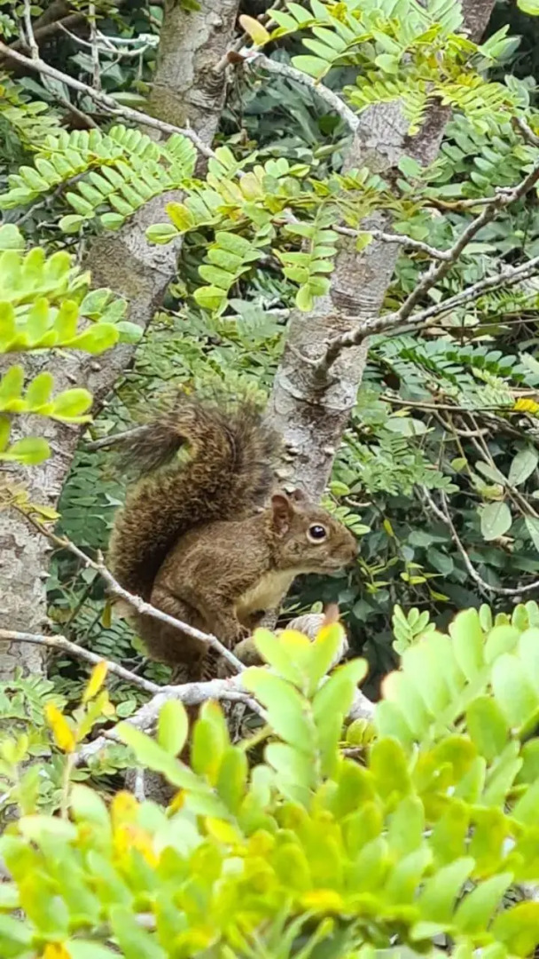 Urikana Boutique Hotel