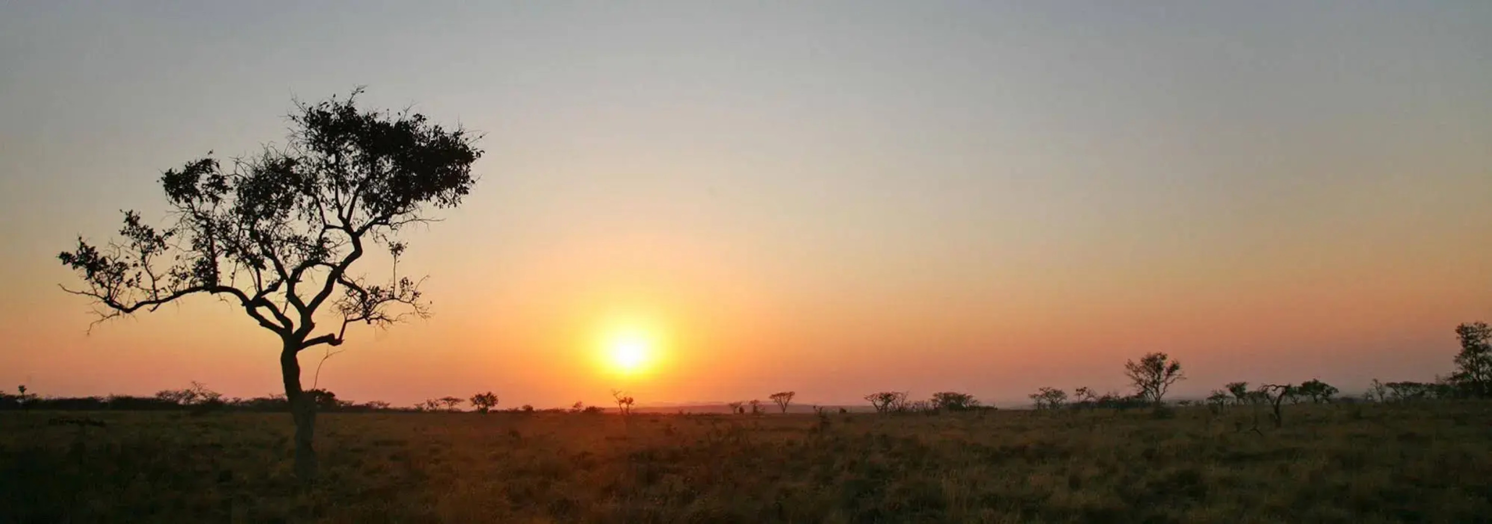 Lejwe La Metsi Private Reserve